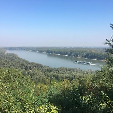 Villa Kuca Za Odmor Brzica Erdut Exterior foto