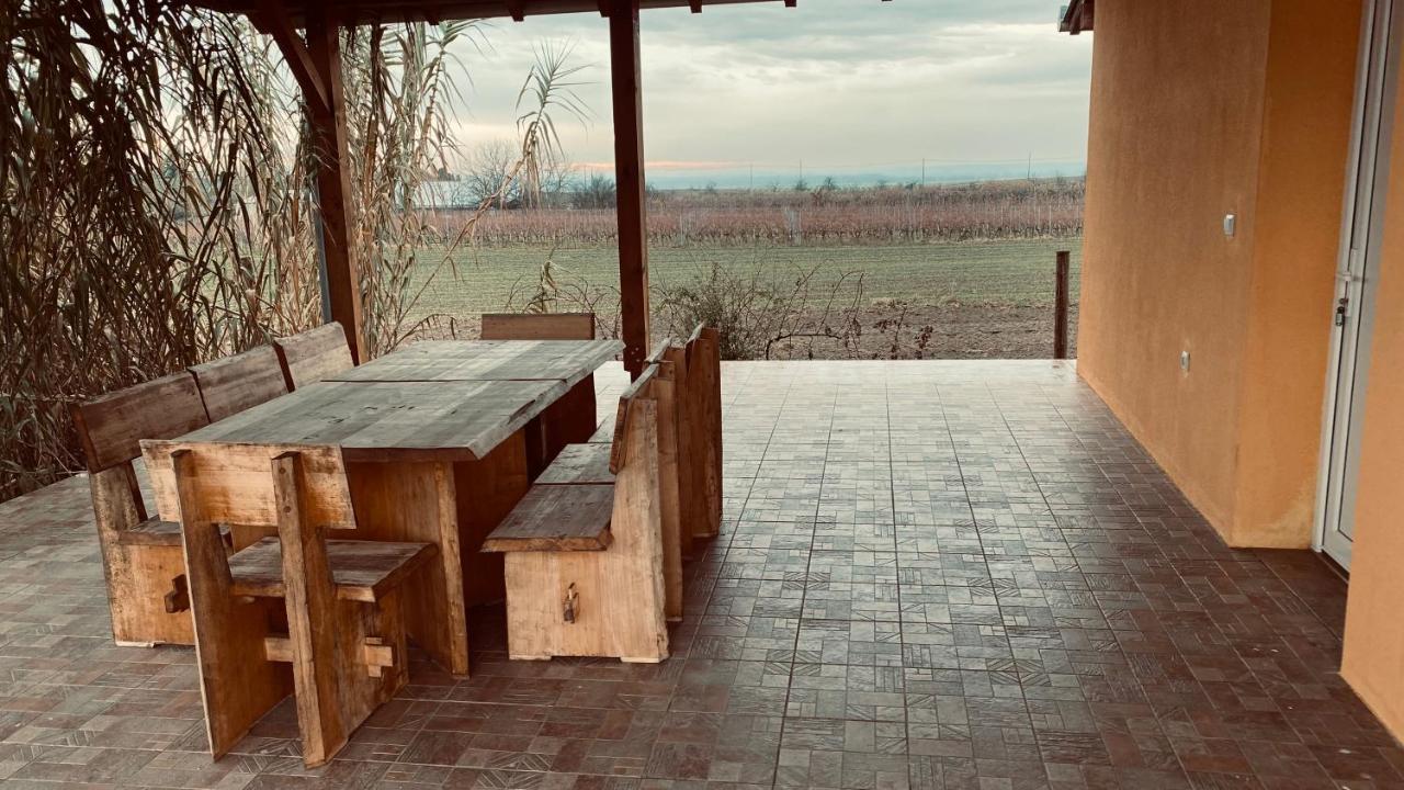 Villa Kuca Za Odmor Brzica Erdut Exterior foto